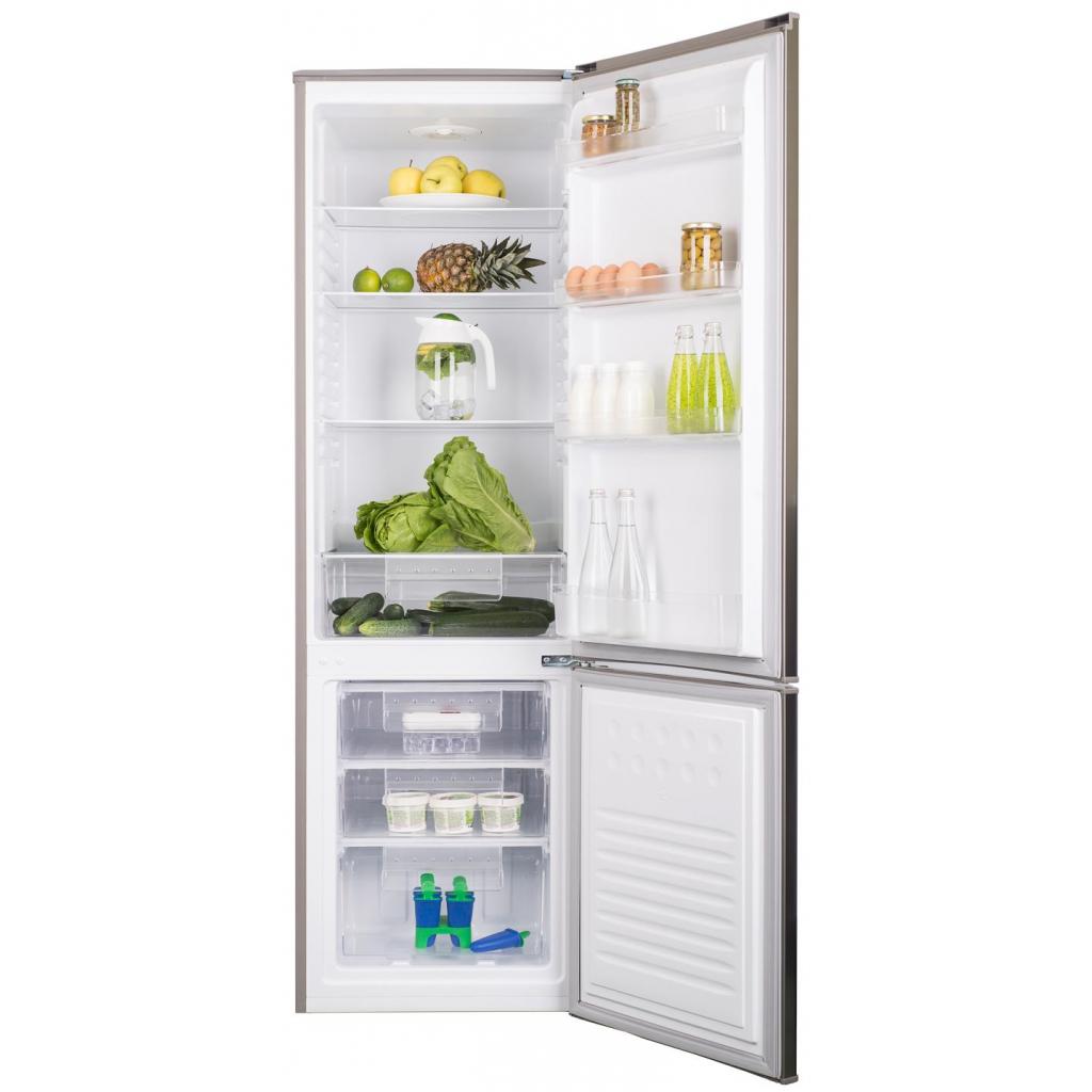 Холодильник Ergo MRF-177 S изображение 6