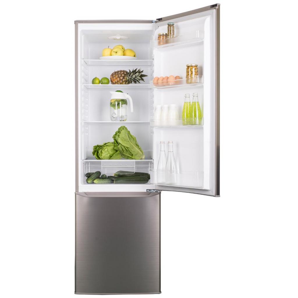 Холодильник Ergo MRF-177 S зображення 7