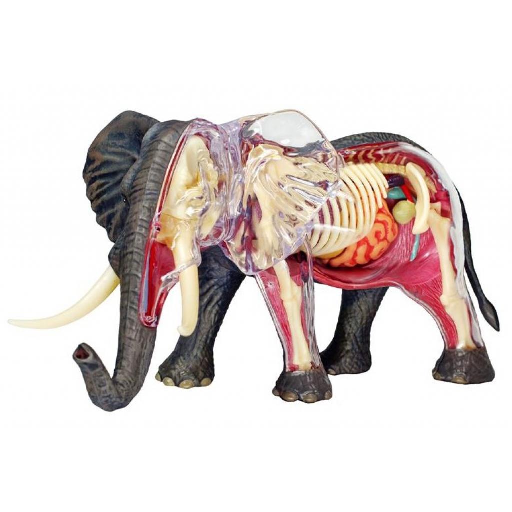 Пазл 4D Master Об'ємна анатомічна модель Слон (FM-622037) зображення 2