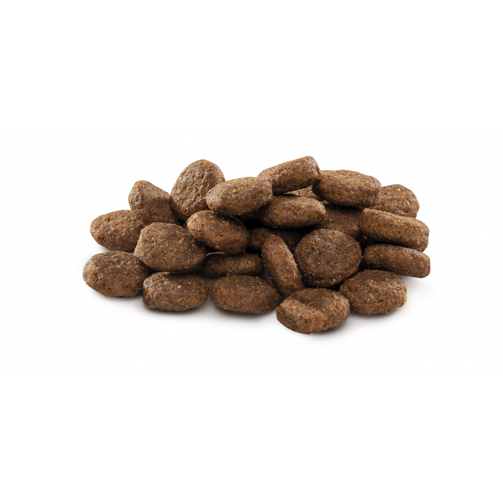 Сухий корм для собак Brit Premium Dog Junior L 15 кг (8595602526437) зображення 4