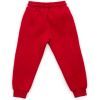 Спортивний костюм дитячий Cloise з худи на флісі (CL0215006-104-red) зображення 6