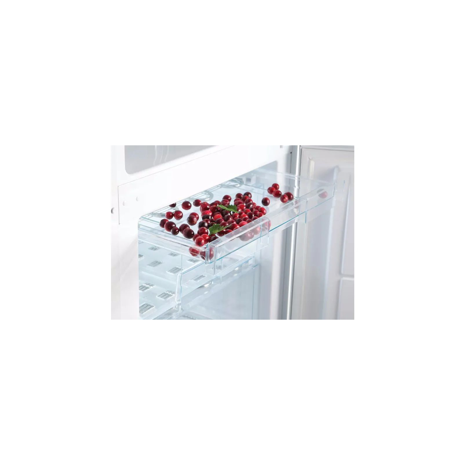 Холодильник Snaige RF31SM-S0002E зображення 5