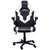 Крісло ігрове Trust GXT703W Riye White (25130) зображення 2