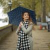Зонт Fulton L553-041246 Superslim-2 Polka Dot (L553-041246) изображение 3