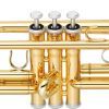 Труба Yamaha YTR-3335 изображение 2
