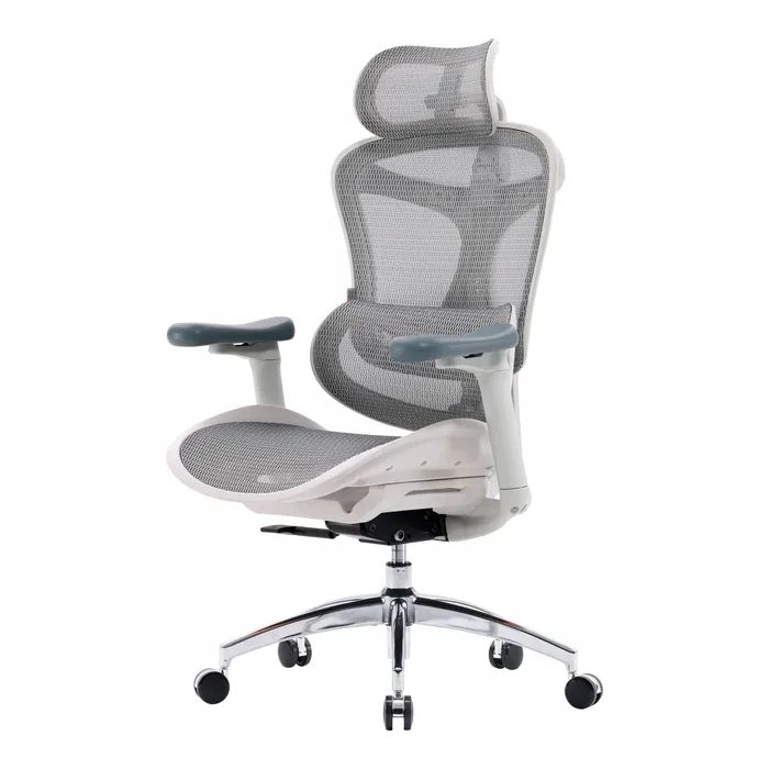 Офисное кресло Sihoo DORO C300L Mesh White (DORO-C300L-A3-102)