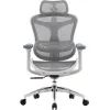 Офисное кресло Sihoo DORO C300L Mesh White (DORO-C300L-A3-102) изображение 2