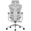 Офисное кресло Sihoo DORO C300L Mesh White (DORO-C300L-A3-102) изображение 3