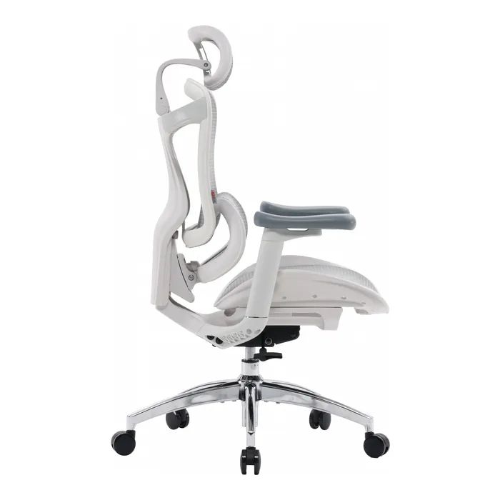Офисное кресло Sihoo DORO C300L Mesh White (DORO-C300L-A3-102) изображение 4