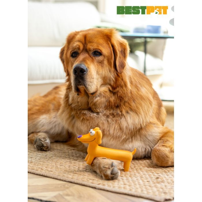 Игрушка для собак MISOKO&CO Собака коричневая 21 см (BEIRJ02939) изображение 2