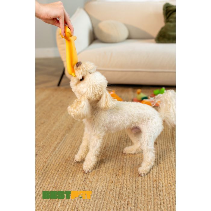 Игрушка для собак MISOKO&CO Собака коричневая 21 см (BEIRJ02939) изображение 3