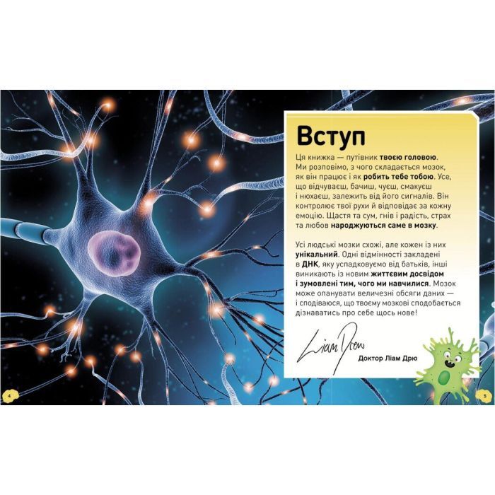 Книга Карколомний мозок. Імпульсивні нейрони, мінливі синапси, хвостаті аксони - Ліам Дрю Ранок (9786170973856) изображение 5