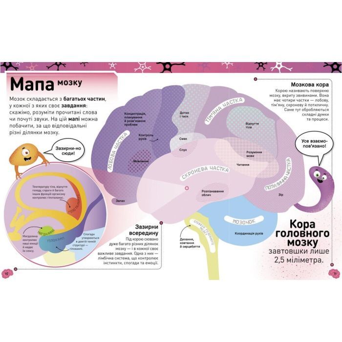 Книга Карколомний мозок. Імпульсивні нейрони, мінливі синапси, хвостаті аксони - Ліам Дрю Ранок (9786170973856) изображение 8