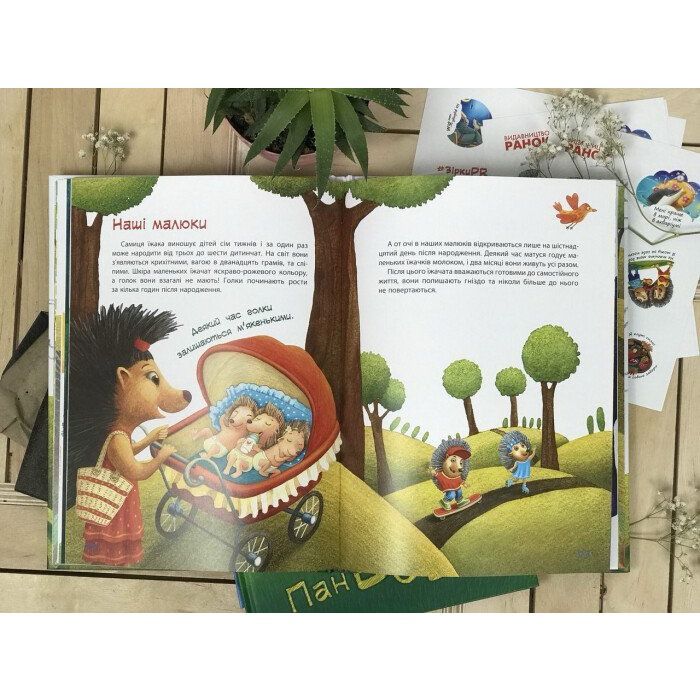 Книга Пан Їжак. Зірки Pro - О. Потапенко Ранок (9786170941145) изображение 3