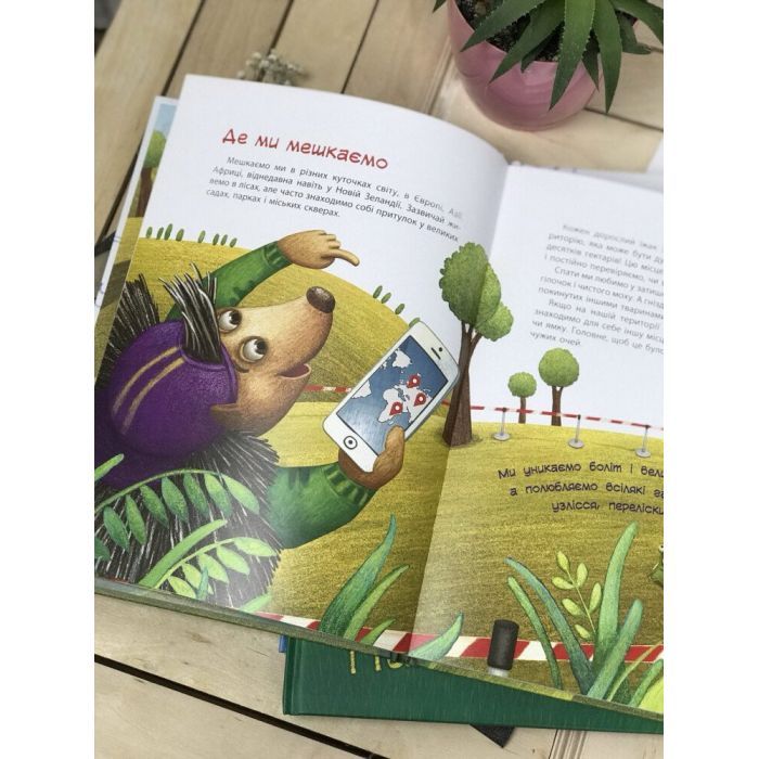 Книга Пан Їжак. Зірки Pro - О. Потапенко Ранок (9786170941145) изображение 7