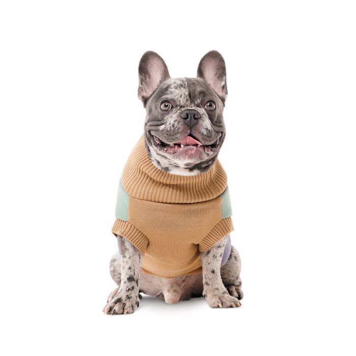 Светр для тварин Pet Fashion Rich M2 (4823082438747) зображення 3