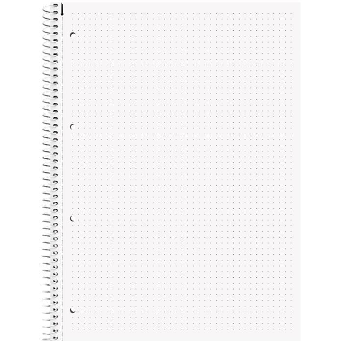 Книга записная Brunnen Колледж-блок А4 Premium Zenart Lion, точка 80 листов (10-679 29 02) изображение 2