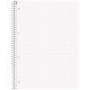 Книга записная Brunnen Колледж-блок А4 Premium Zenart Lion, точка 80 листов (10-679 29 02) изображение 2
