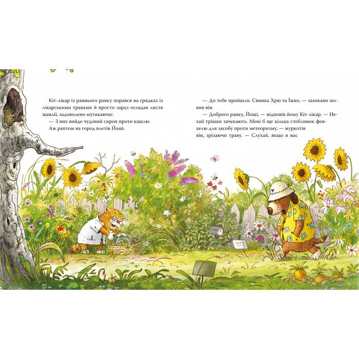 Книга Кіт-лікар. Заблукала вівця. Книга 1 - Валько Видавництво РМ (9786178639662) изображение 4