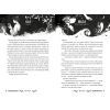 Книга Онейромантка - Оро Хáссе Видавництво РМ (9786178603298) изображение 4