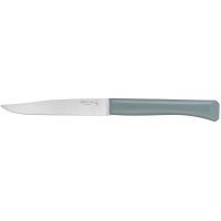 Кухонный нож Opinel Bon Appetit Plus 11 см Mint (002195)
