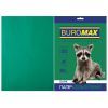Папір Buromax А4, 80g, DARK green, 20sh (BM.2721420-04)