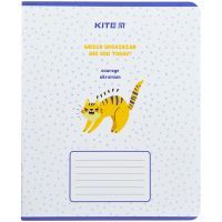 Тетрадь Kite Украинские котики , 48 листов, клетка (K22-259-4) изображение 5