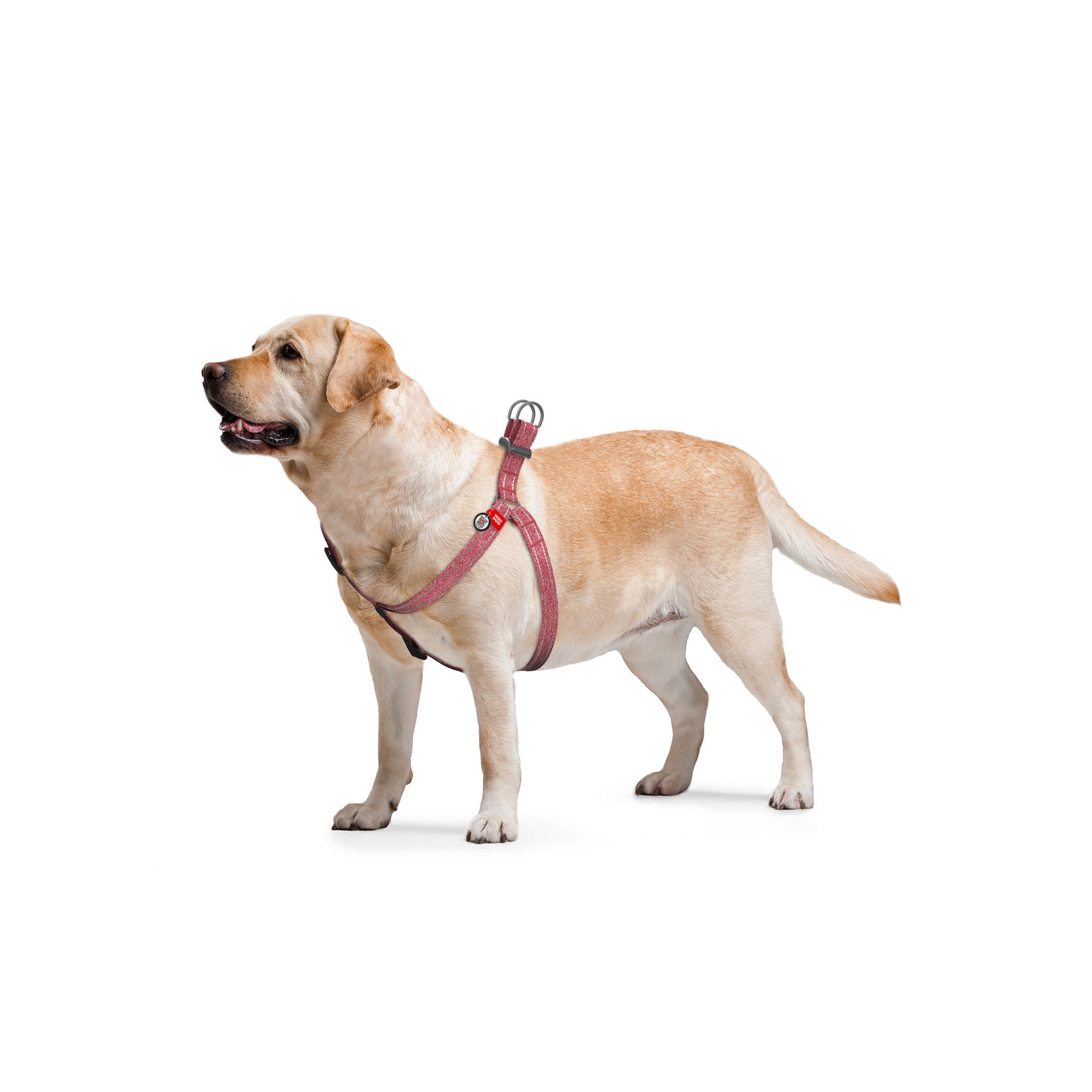 Шлей для собак WAUDOG Re-cotton с QR-паспортом М розовая (03327) изображение 5