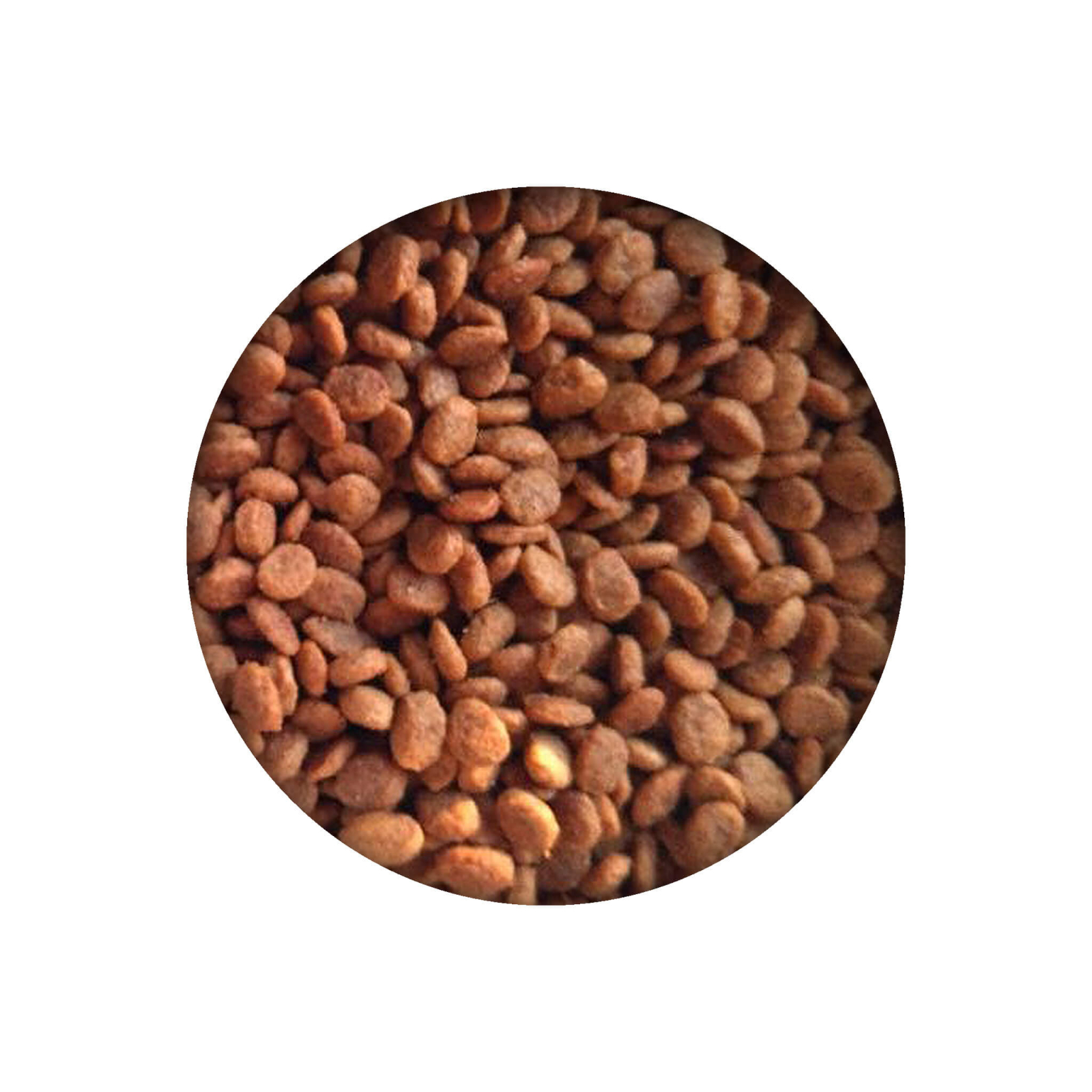Сухий корм для кішок Essentia Adult Grain Free Exigent зі свининою 1.5 кг (8014556129643) зображення 2