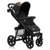 Коляска Lionelo Annet Plus Lovin (LO-ANNET PLUS LOVIN) изображение 2