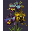 Картина по номерам Santi Орхидеи 40*50 см алмазная мозаика (954786)