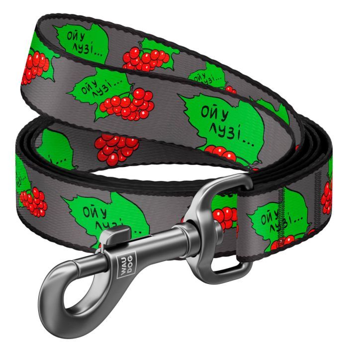 Поводок для собак WAUDOG Nylon "Калина" M (4920-0228)