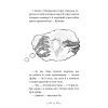 Книга Володарі драконів. Книга 5: Пісня Отруйної дракониці - Трейсі Вест BookChef (9786175483206) зображення 8
