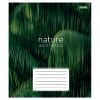 Зошит 1 вересня Nature aesthetics А5 24 аркушів лінія (768101) зображення 2