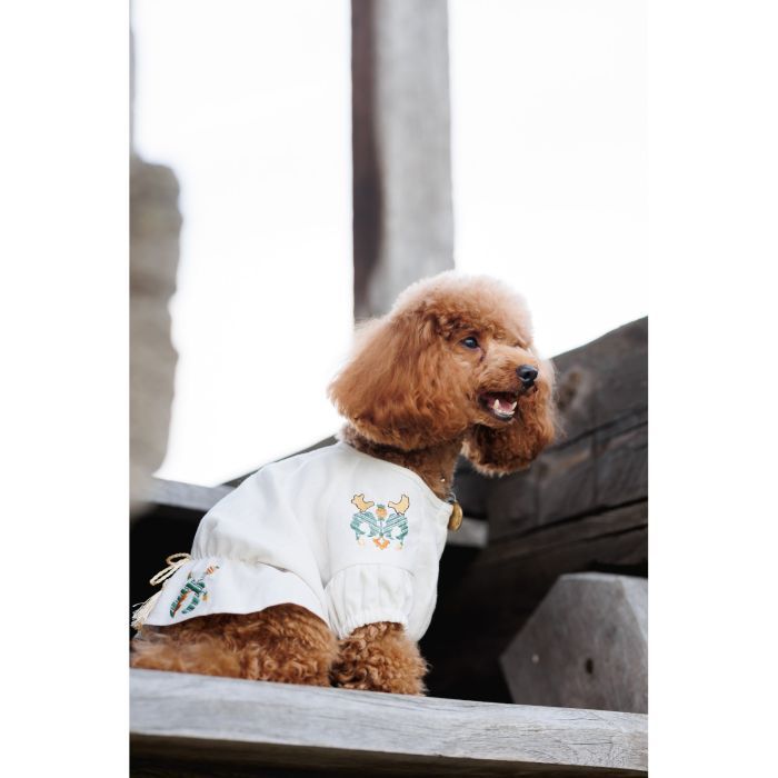 Футболка для тварин Pet Fashion Maryana XS (4823082439317) зображення 9