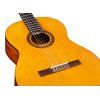 Гитара классическая Cordoba C1 With Gig Bag изображение 4
