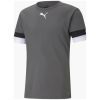 Футболка Puma teamRISE Jersey 704932-13 сірий S (4063699213270)