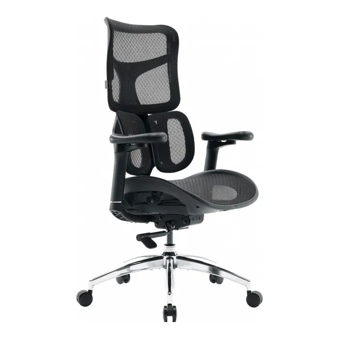 Офисное кресло Sihoo DORO S100 Mesh Black (S100-M301)