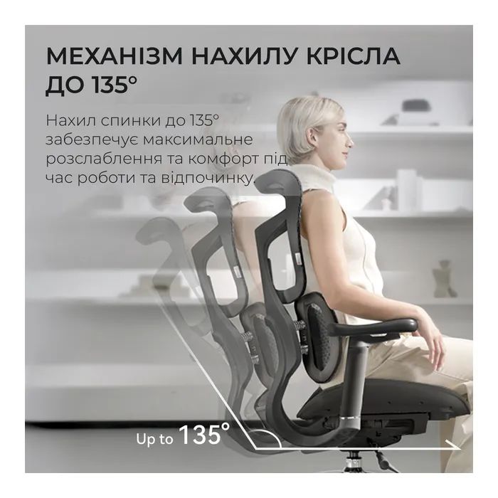 Офисное кресло Sihoo DORO S100 Mesh Black (S100-M301) изображение 8