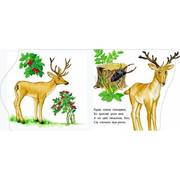 Книга У зоопарку. Перші кроки - Юлія Каспарова Ранок (9786170963147) зображення 4