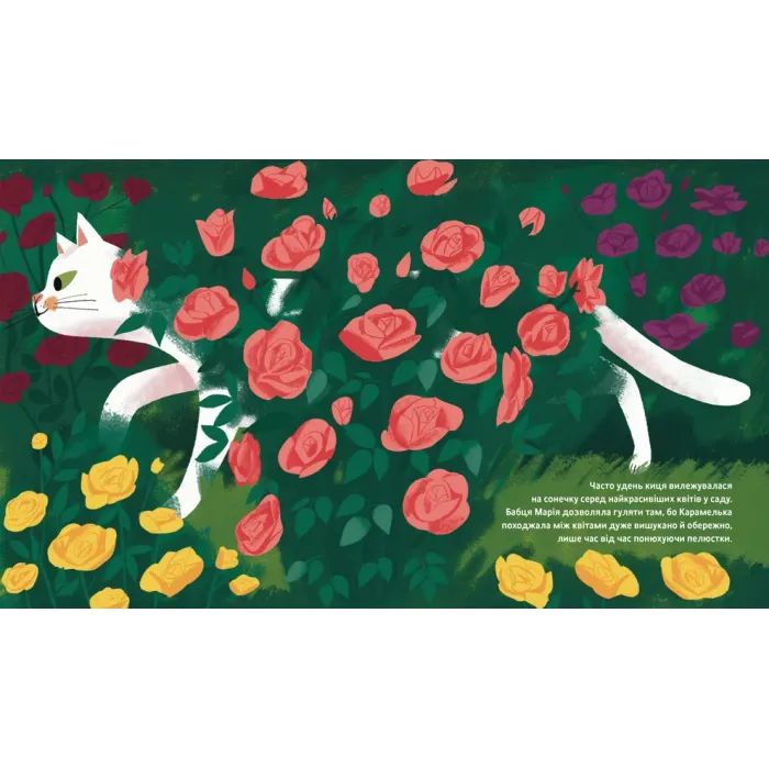 Книга Таємне життя Карамельки - Оксана Драчковська Видавництво Старого Лева (9789664486184) зображення 5