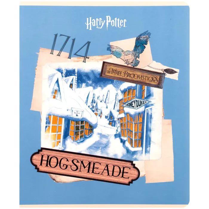 Зошит Kite Harry Potter, 24 аркуша, клітинка (HP26-238) зображення 7