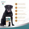 Вітаміни для собак 8in1 Excel Multi Vitamin Senior мультивітамін 70 шт (4048422183907) зображення 9