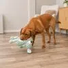 Игрушка для собак Trixie Собака с шелестом 34 см мятная (4011905479071) изображение 3