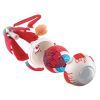 Набір для експериментів EDU-Toys Модель очного яблука збірна, 14 см (SK007) зображення 3