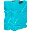 Акумулятор холоду Pinnacle 2х600 Turquoise (8906053360486TURQ)