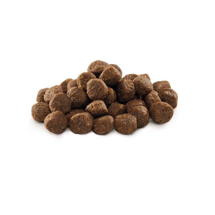 Сухой корм для собак Brit Premium Dog Junior M 1 кг (8595602526314) изображение 2