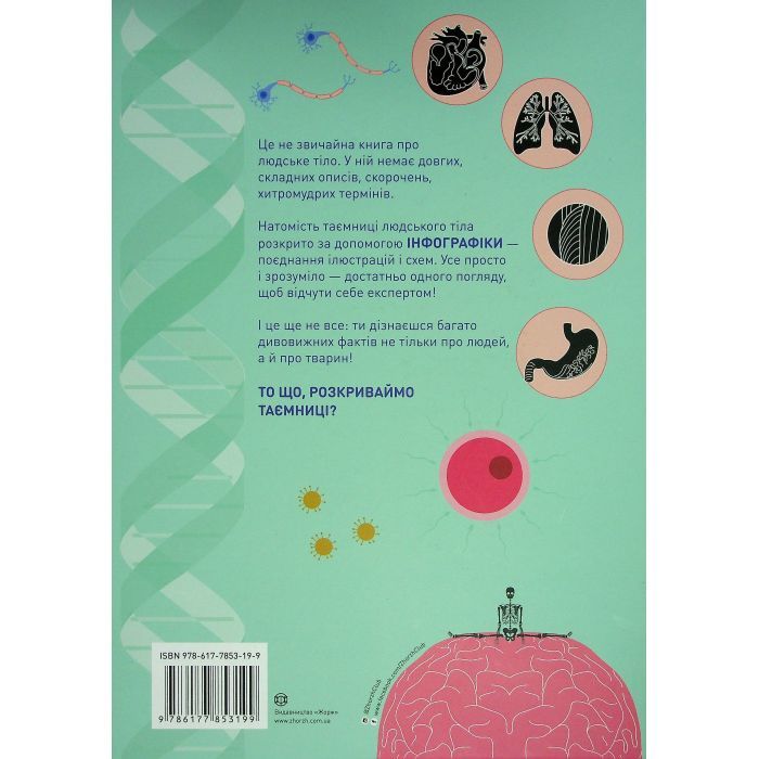 Книга Тіло людини - Кристина Перабоні Жорж (9786177853199) зображення 2