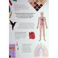 Книга Тіло людини - Кристина Перабоні Жорж (9786177853199) изображение 7