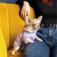 Толстовка для животных Pet Fashion DELICATE XXS (сирень) (4823082429769) изображение 3